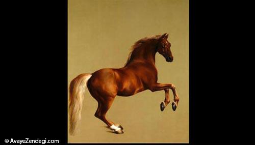 10 اسب معروف دنیای هنر 