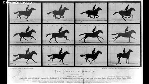 10 اسب معروف دنیای هنر 