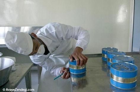 ماهی‌های خاویار دریای خزر در خطر انقراض