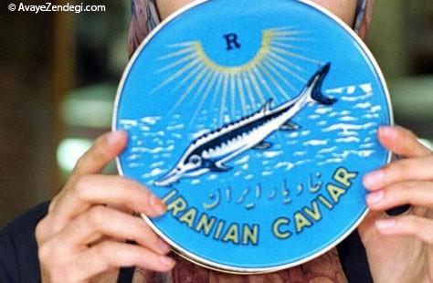 ماهی‌های خاویار دریای خزر در خطر انقراض