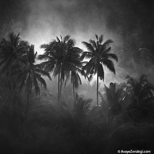  عکس های سیاه و سفید بسیار زیبا از طبیعت 