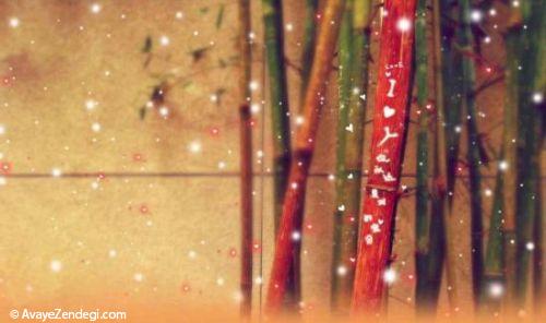 عکس های عاشقانه برای دسکتاپ
