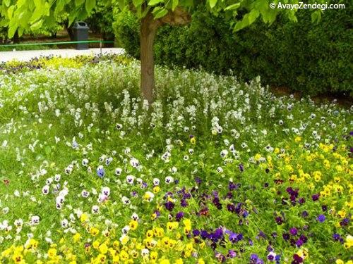 معماری ایرانی: باغ ایرانی 