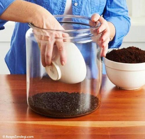 روش ساخت تراریوم، گلخانه شیشهای کوچک روش ساخت تراریوم، گلخانه شیشهای کوچک