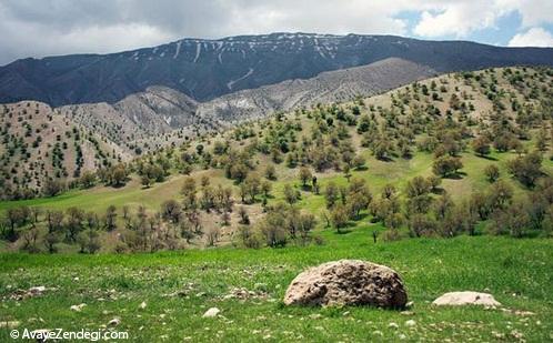 دیدنی‌های ایلام؛ کشور طلوع خورشید