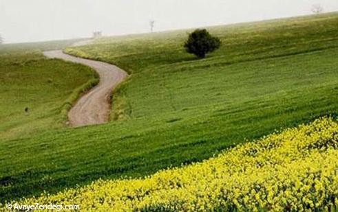 زیبایی‌های ایران: استان کردستان