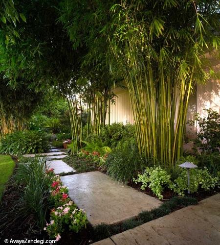  طراحی فضای بیرونی 