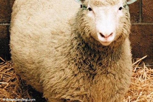 مهم‌ترین نوآوری‌های 100 سال اخیر 