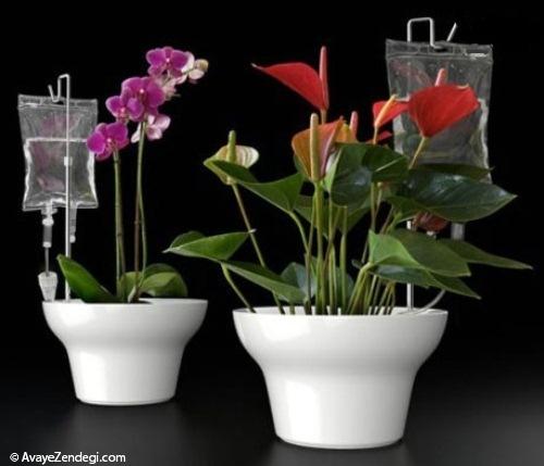 گلدانهای بسیار زیبا با ایده های خلاقانه گلدانهای بسیار زیبا با ایده های خلاقانه