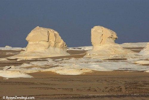  تصاویر جالب از صحرای سفید 