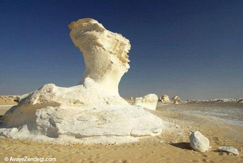  تصاویر جالب از صحرای سفید 