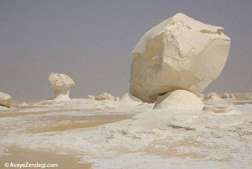 تصاویر جالب از صحرای سفید 