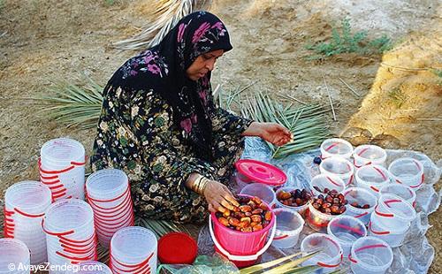 برداشت رُطَب در استان بوشهر