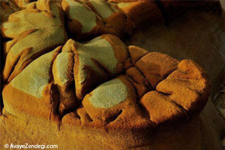 فرمهای زیبا ولی غیرعادی طبیعت! فرمهای زیبا ولی غیرعادی طبیعت!