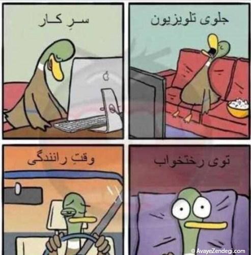  عکس های خنده دار و جالب 