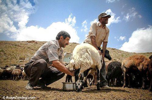 جاذبه گردشگری روستای وزنا قزقانچای 