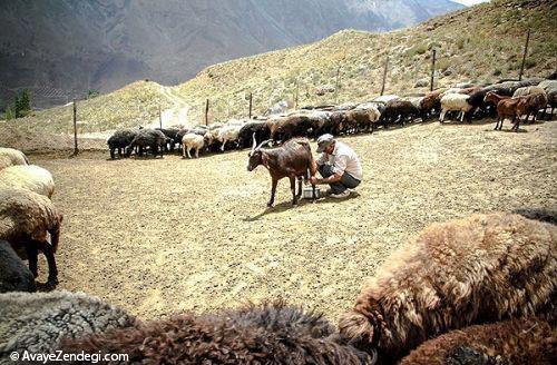 جاذبه گردشگری روستای وزنا قزقانچای 