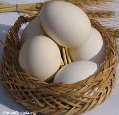 تخم مرغ در آینه طب سنتی