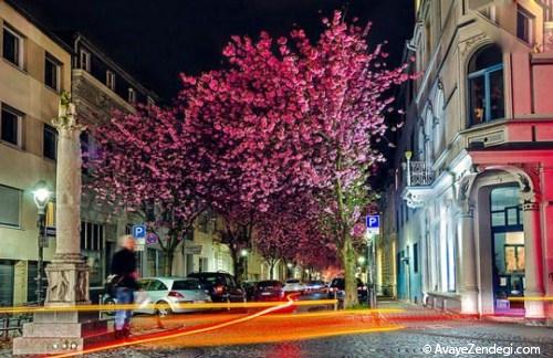  زیباترین خیابان های جهان 