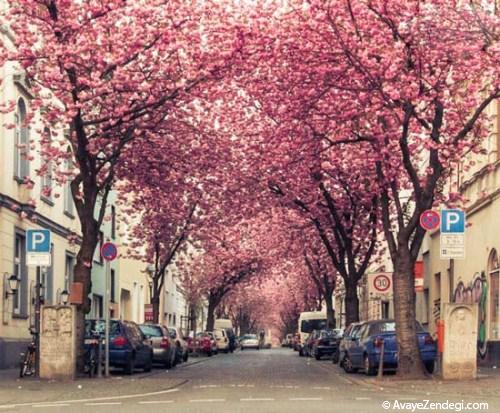  زیباترین خیابان های جهان 