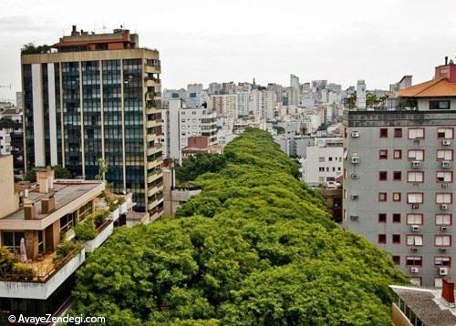  زیباترین خیابان های جهان 