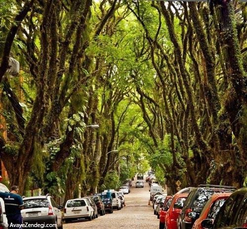  زیباترین خیابان های جهان 