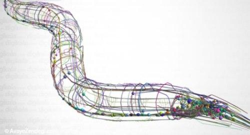 10 اتفاق تکنولوژیک دیوانه‌کننده تا سال 2030 