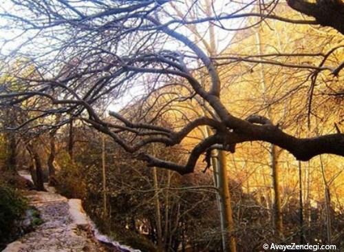 زیبایی‌های ایران: استان کهگیلویه و بویراحمد 