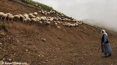 طبیعت جاده اسالم به خلخال در استان گیلان 