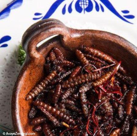 غذاهای مکزیکی پرطرفدار و خوشمزه غذاهای مکزیکی پرطرفدار و خوشمزه