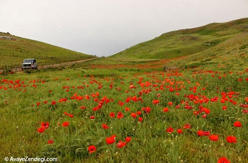 بهشت سرخ کجاست؟