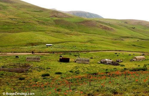 بهشت سرخ کجاست؟