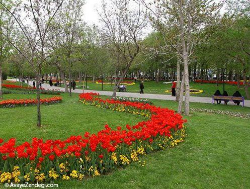  باغ گل های لاله در مشهد 
