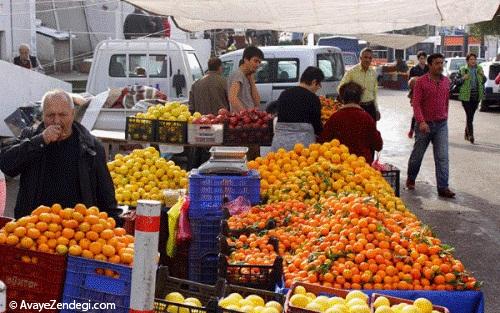  جمعه بازار بدروم 