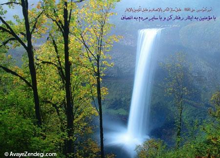  احادیث تصویری 