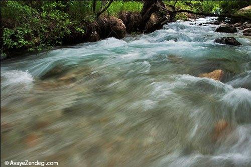  طبیعت بهاری روستای آب ملخ 