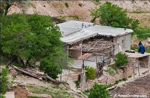  طبیعت بهاری روستای آب ملخ 