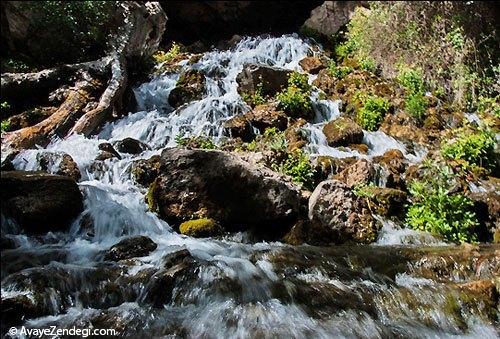  طبیعت بهاری روستای آب ملخ 