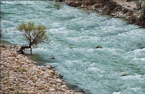  طبیعت بهاری روستای آب ملخ 