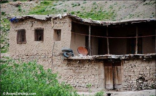  طبیعت بهاری روستای آب ملخ 