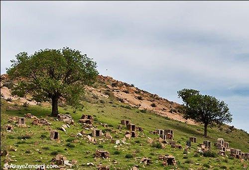  طبیعت بهاری روستای آب ملخ 