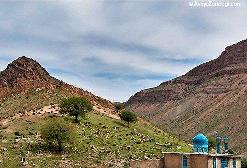  طبیعت بهاری روستای آب ملخ 