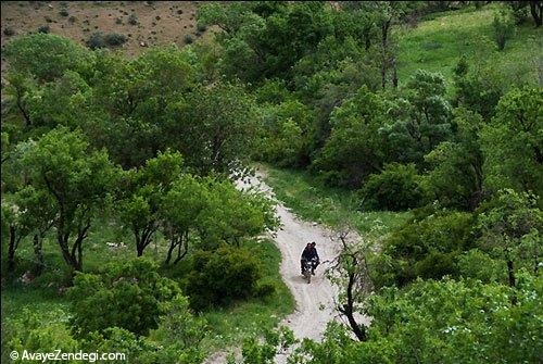  طبیعت بهاری روستای آب ملخ 