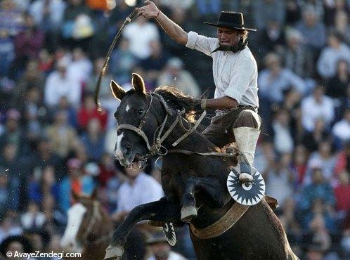 اسب سواری در اروگوئه