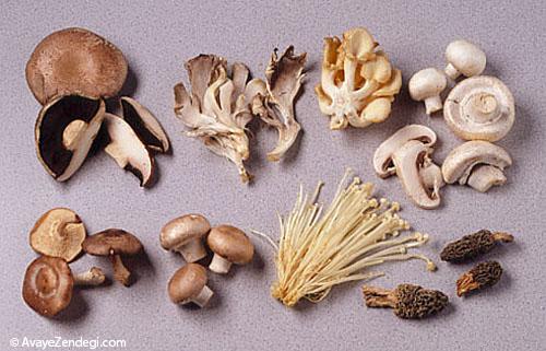 10 روش غذا درست کردن با قارچ 10 روش غذا درست کردن با قارچ