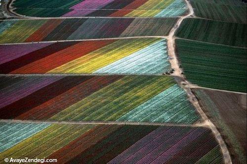 عکس های هوایی از مزرعه کشاورزی
