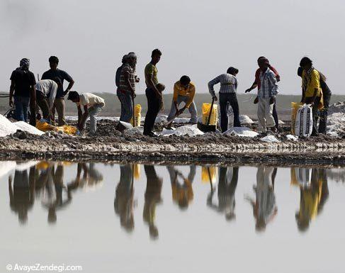 عکس های جالب از نمکستان هندی