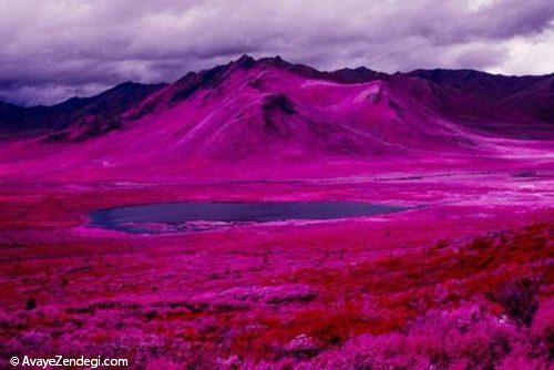  عکس های جالب و دیدنی از قطب شمال 