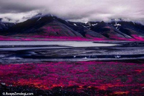 عکس های جالب و دیدنی از قطب شمال 
