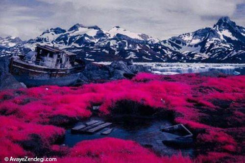  عکس های جالب و دیدنی از قطب شمال 